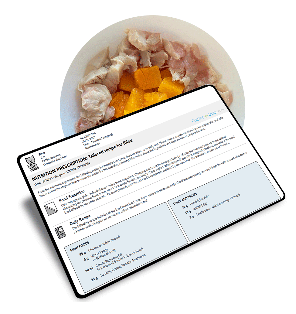 tailor made recipe for a cat